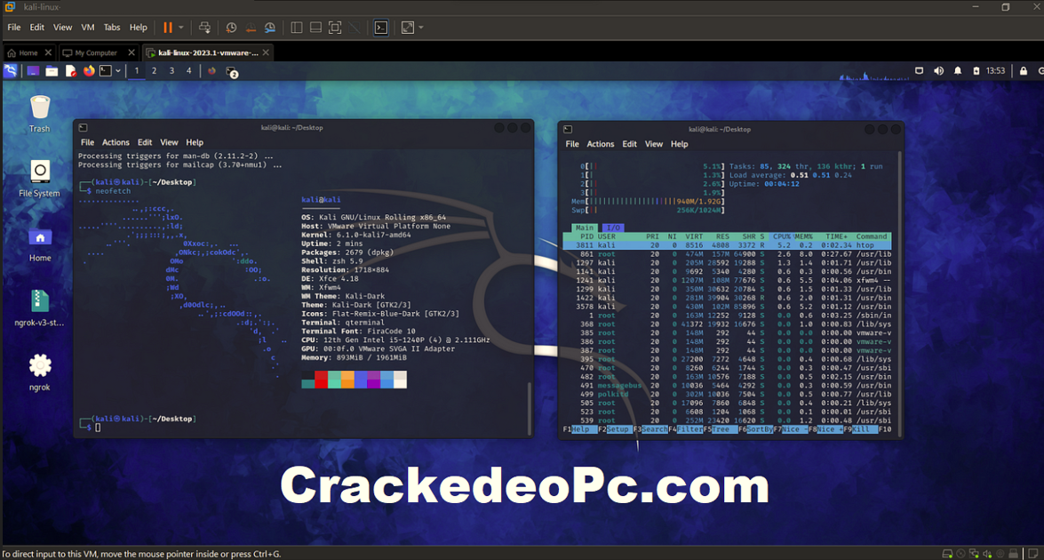 Kali Linux Crackeado Download Grátis